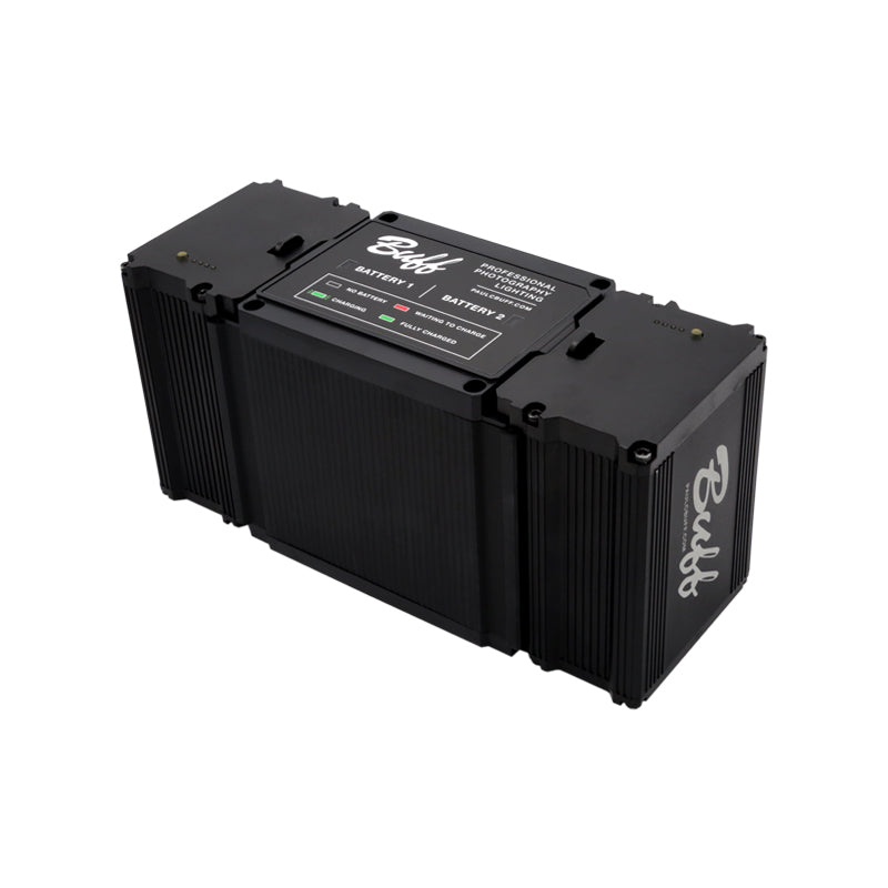 LINK Battery Charger
